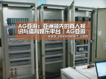 AG亚游案例展示五