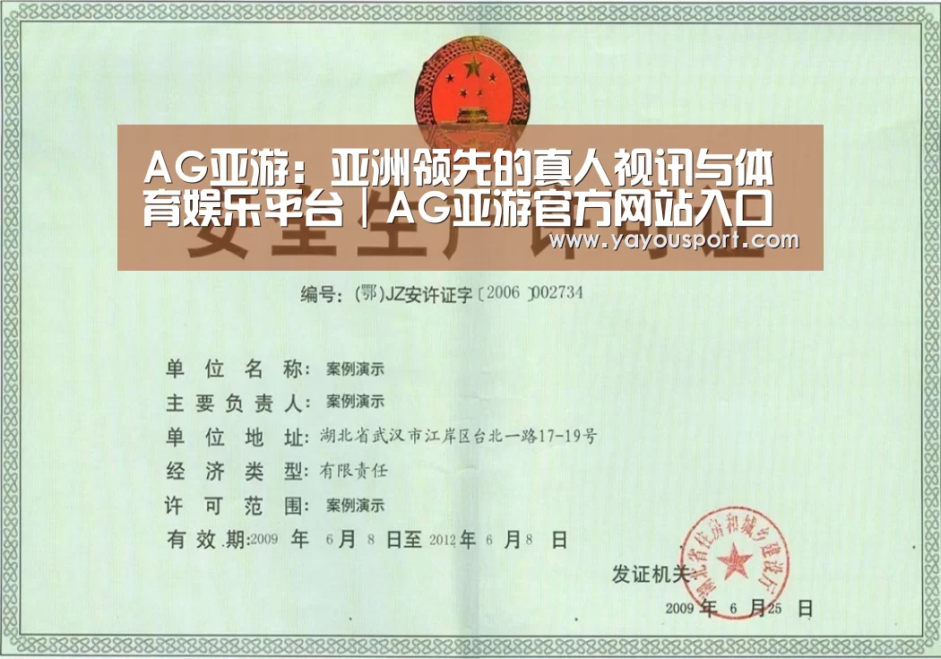 AG亚游荣誉证书三