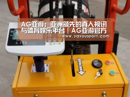 AG亚游案例展示三