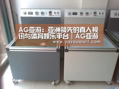 AG亚游案例展示二
