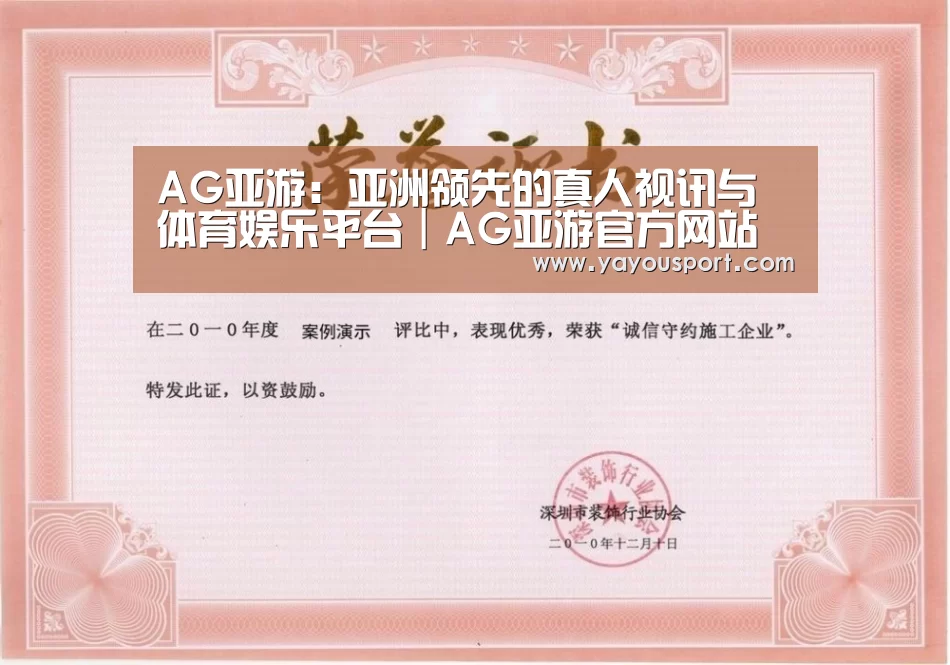 AG亚游荣誉证书一