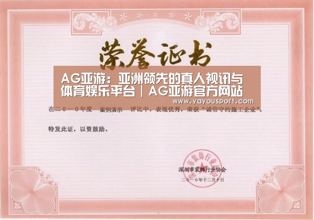 AG亚游荣誉证书一(图1)