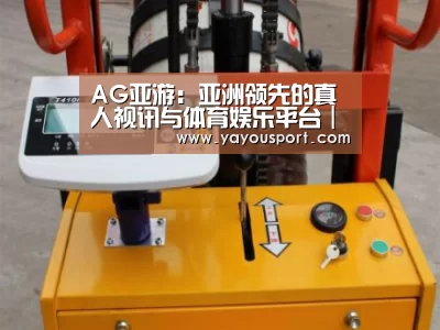 AG亚游案例展示三(图1)
