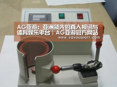 AG亚游案例展示六