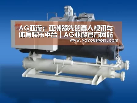 AG亚游案例展示四