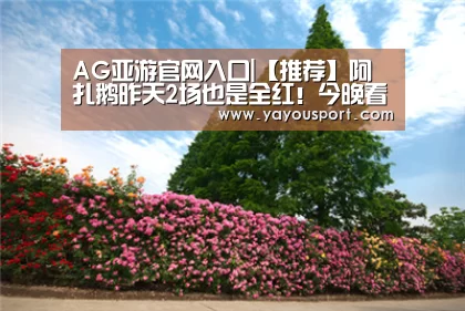 AG亚游官网入口