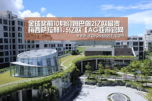 AG亚游官网