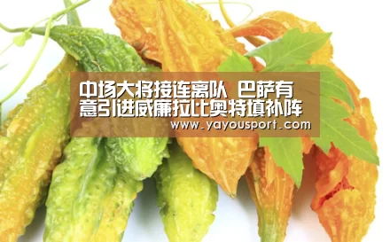 AG亚游